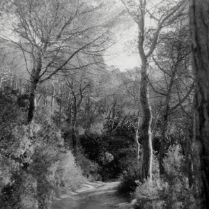 Contigo ser | Imbuto y'ukuri