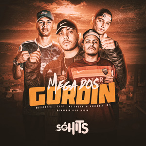 Mega dos Gordin