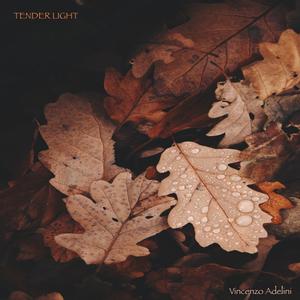 Tender Light