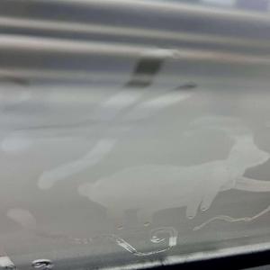 взросление