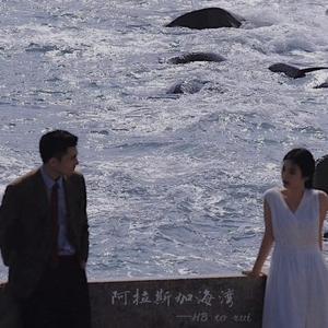 阿拉斯加海湾【piano.】