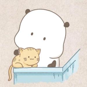 婚约（翻自 郑云龙）