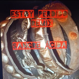 Estoy Perdido (Remix)