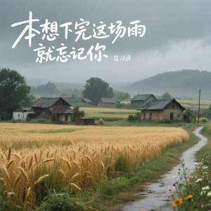 本想下完这场雨就忘记你