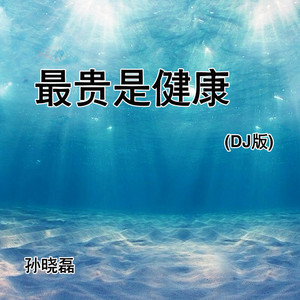 最贵是健康 (DJ版)