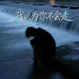 我以为你不会走