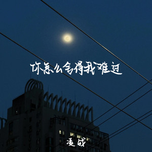 你怎么舍得我难过 (伴奏)