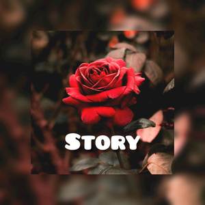 《||STORY||》