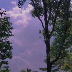 blve（cover翻唱胡期皓）