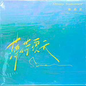 薄荷夏天（DJ版）