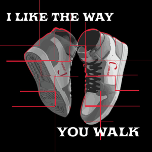 I Like the Way You Walk