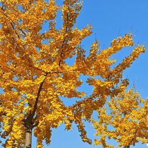 缈＄繝骞芥ⅵ闀