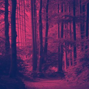 一尘不染午睡印象数