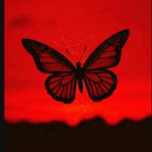 나비처럼(탱고)