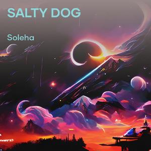 Salty Dog (Acoustic)