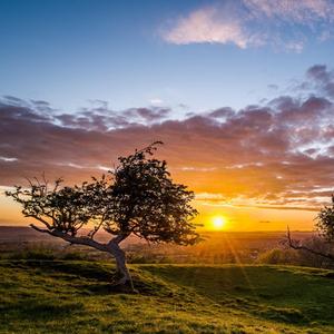 抓住努力的尾巴