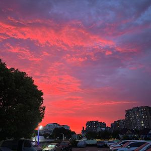 《云端霞光里的飞鸟与薄雾梦影》