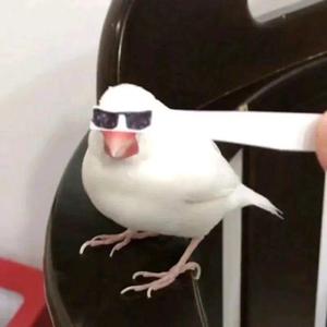 心动