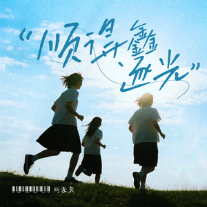 顺得鑫·逐光（奋进版）