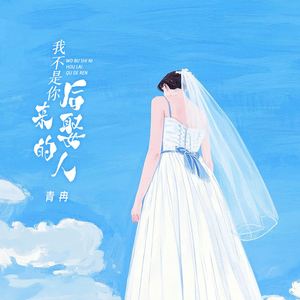 我不是你后来娶的人