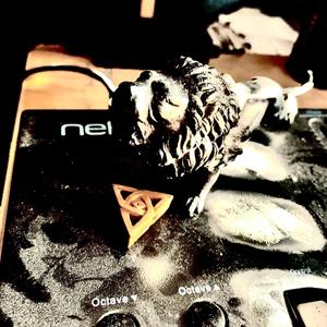 Infinitas Animae (Instrumental)