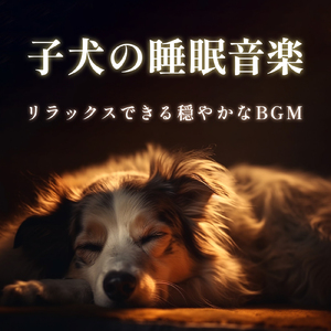愛犬のための癒しBGM