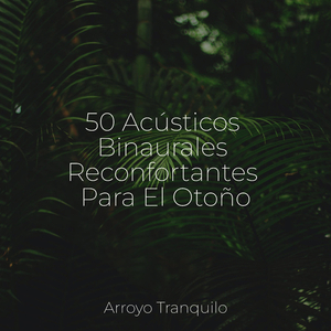 Arroyos Burbujeantes