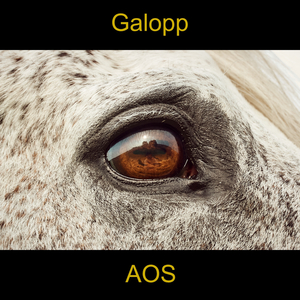 Galopp