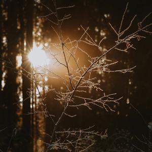 冬夜慢慢靠近你