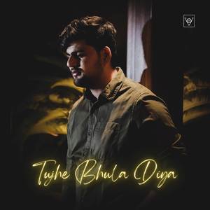 Tujhe Bhula Diya