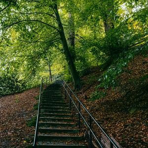 霓虹下的城市身影--活力-电子