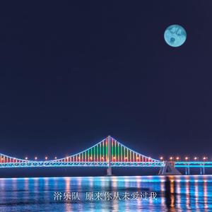 原来你从未爱过我