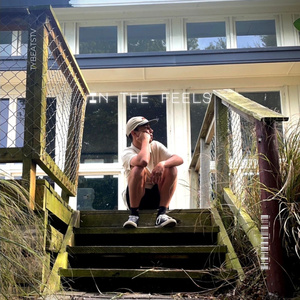 In The Feels (Remix)