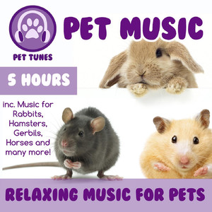 Relaxing Rat Music