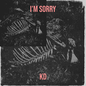 I’m Sorry