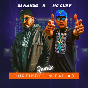 Curtindo um Bailão (Remix)