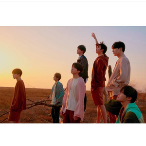 FDSNT - FAKE LOVE — FDSNT（C.A.R.L / 怔妍熙 / RuDi remix）