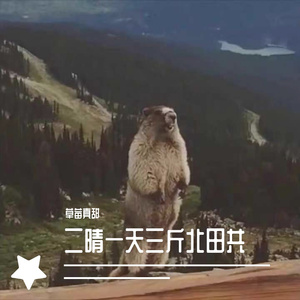 你的眼睛像星星