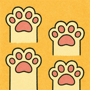 Little thing, Big Love