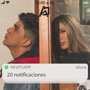 Notificaciones