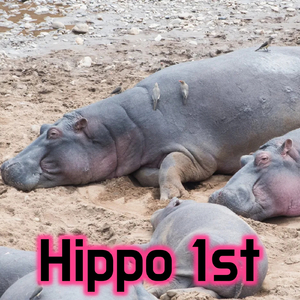 サイレントヴォイス