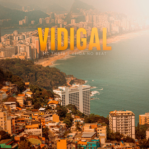 Vidigal
