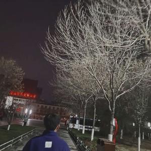 我看过(我看过)