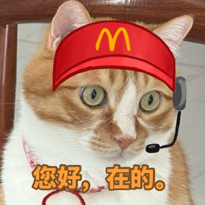 我在纽约打电话给你