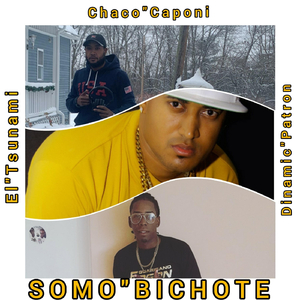 Somo Bichote