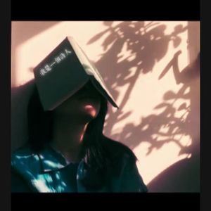 一本诗集碎在了精神病院。