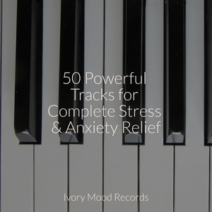 Splendorous Melodic Journey