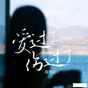 爱过了伤过了 (Dj何友版)