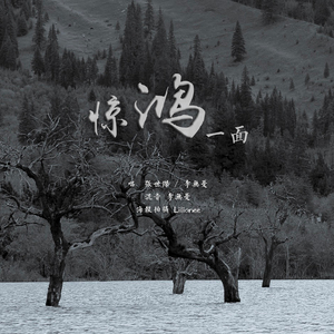 惊鸿一面（翻自 许嵩/黄龄）