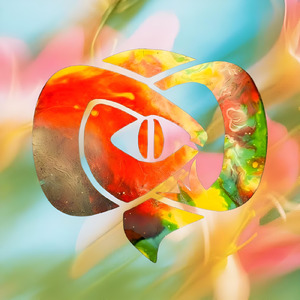 マルチプレイヤー